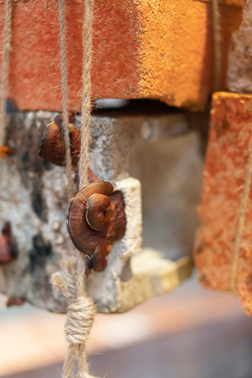 米兰世博会中国国家馆丨意大利米兰丨Link Arc建筑事务所-222