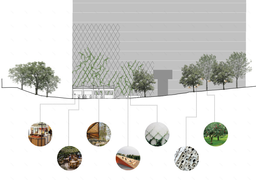 城市生物群丨巴西圣保罗-17