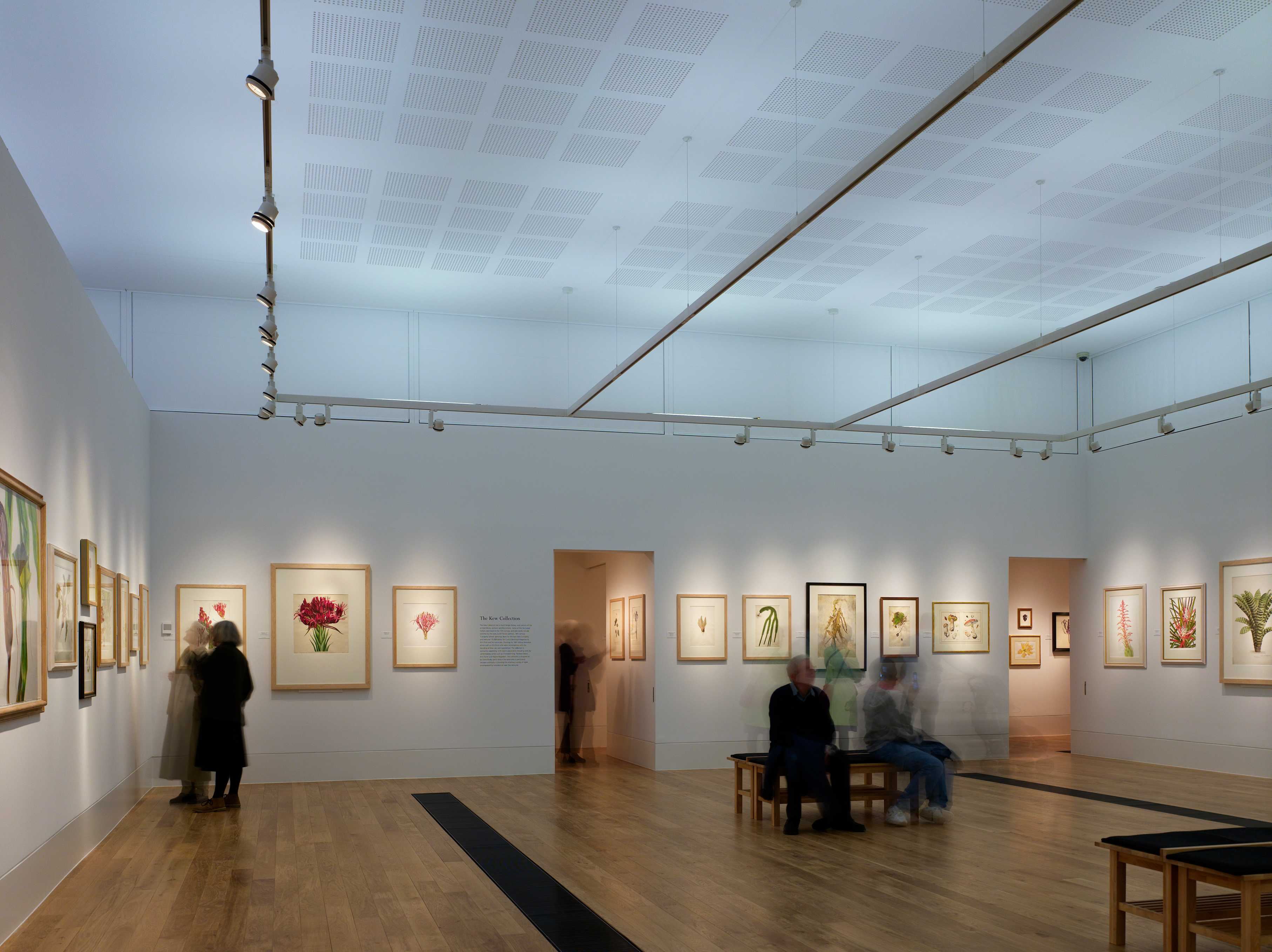 邱园植物艺术画廊（雪莉舍伍德美术馆）-35