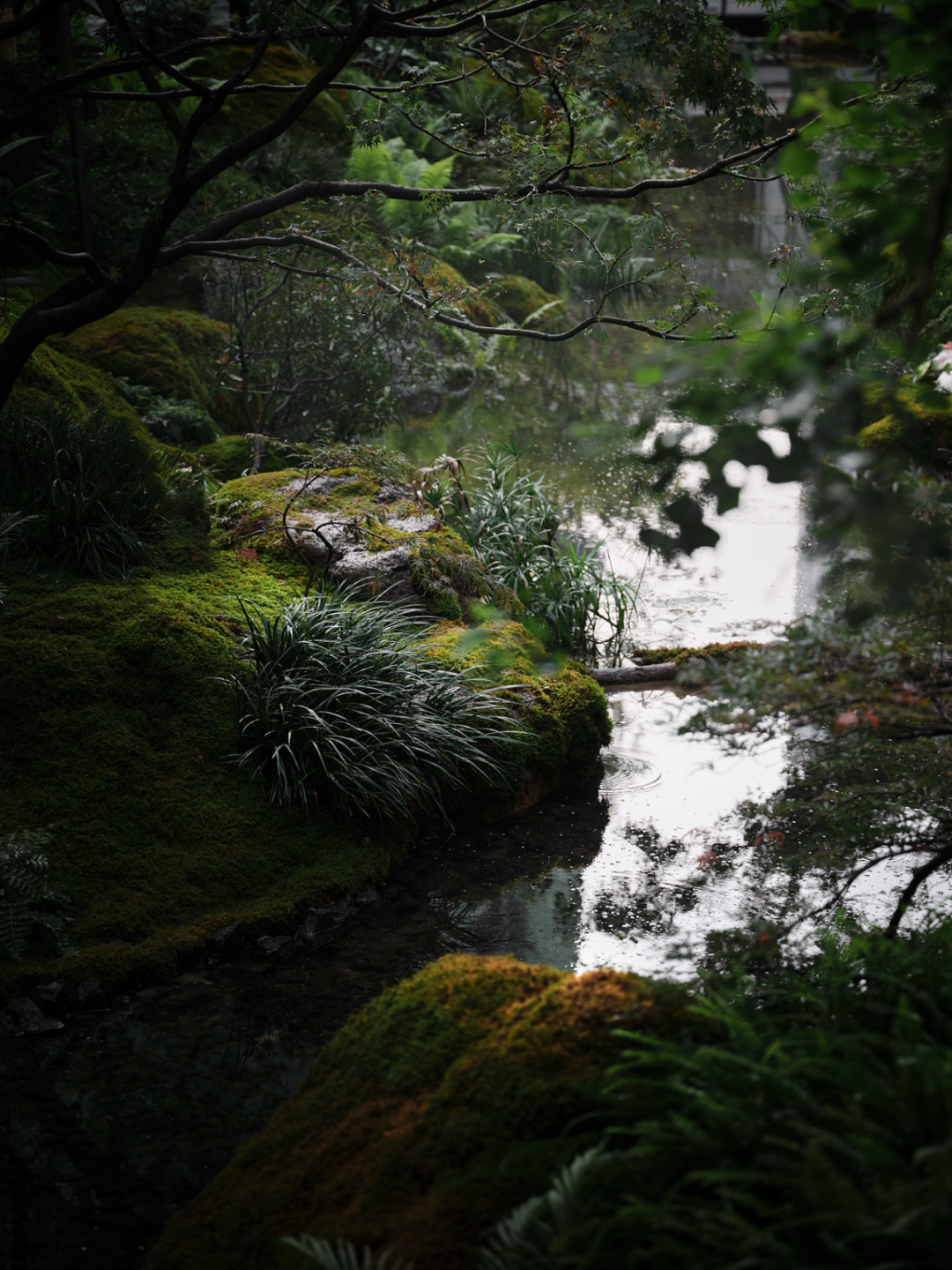 招商·锦城序 归心之境 序起锦城丨中国成都丨柏熙标识-9
