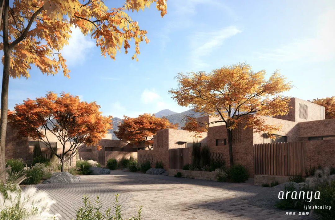 阿那亚 | 中国神盘中的建筑仙境-260