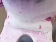 焊缝检测新视角 · 五种方法优劣对比光学检测崛起丨易思维(杭州)科技有限公司-23