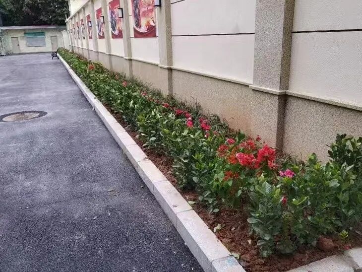 120天蝶变：简阳这些小区“换新衣”-4