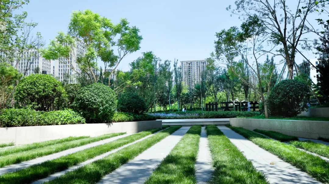 北京远洋新天地景观改造丨中国北京丨远洋生态·北京远洋景观规划设计院有限公司-26