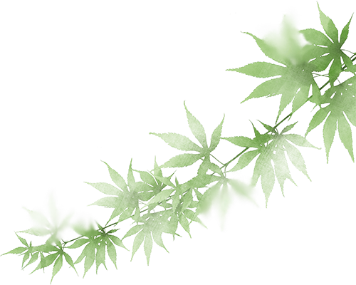 建好一座厂房造福一方百姓——四建铁军衢江建筑垃圾资源化利用工程施工纪实-2