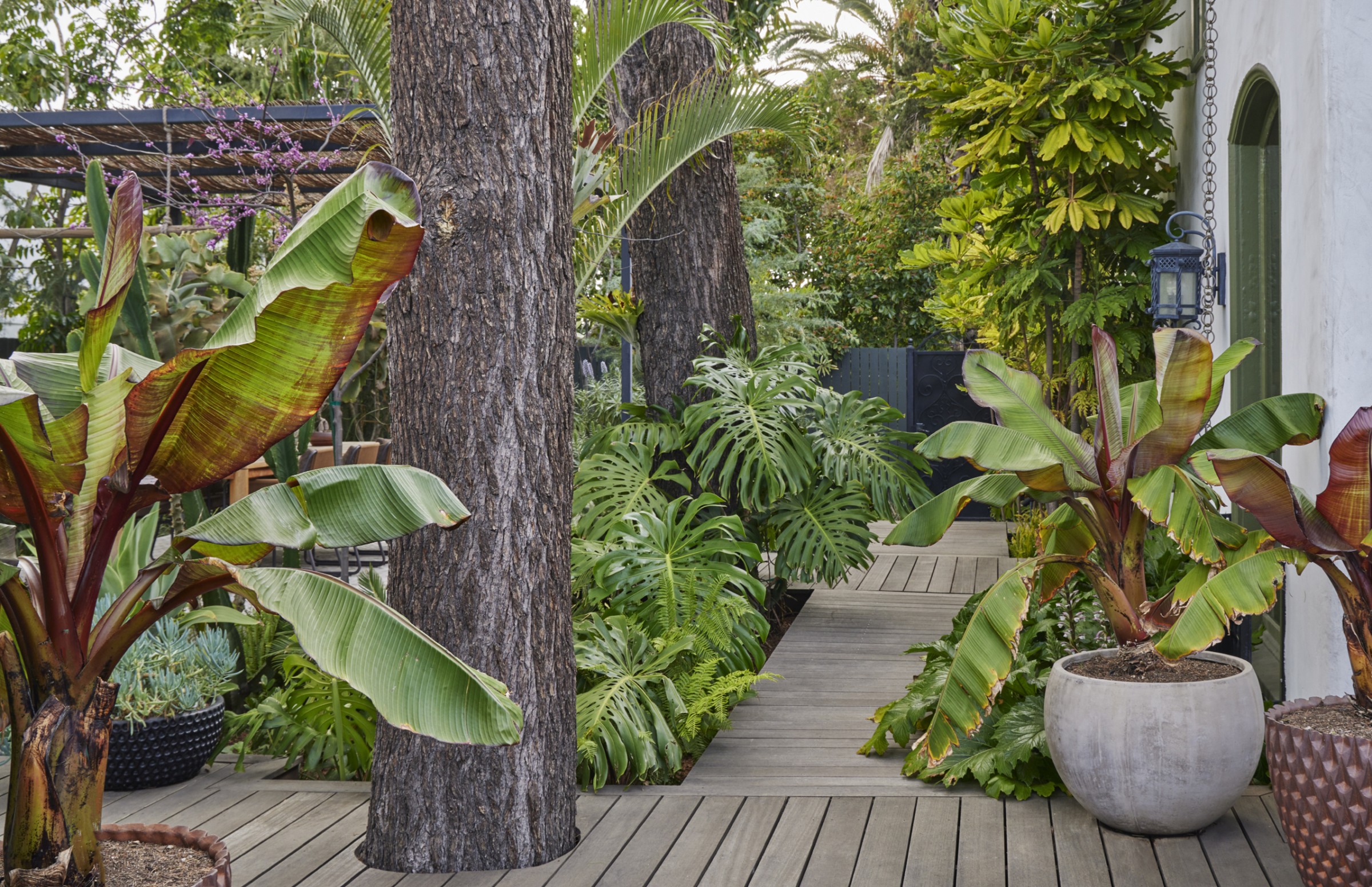 门前野趣丨TERREMOTO-121