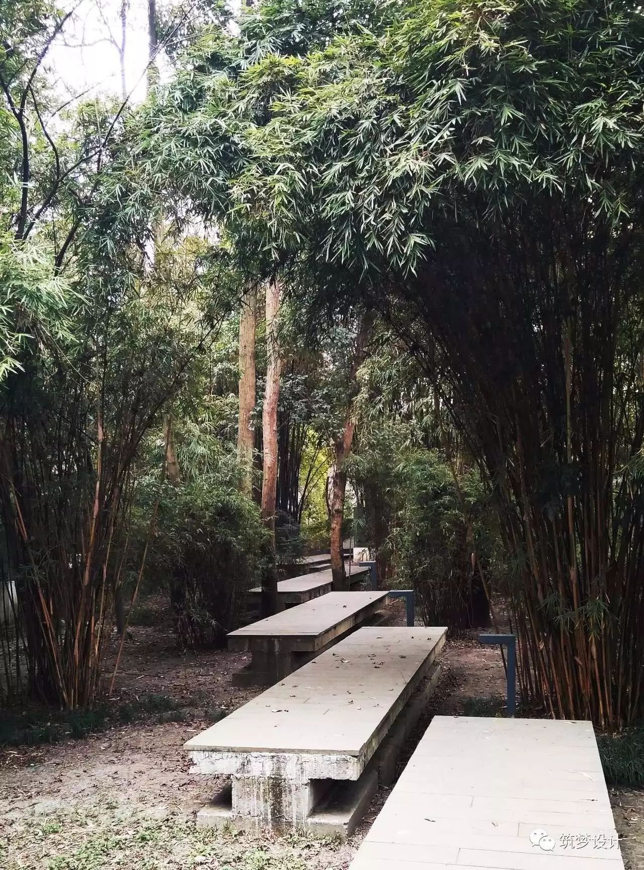 善筑|假如建筑终究抵不过岁月洪荒（三）-51