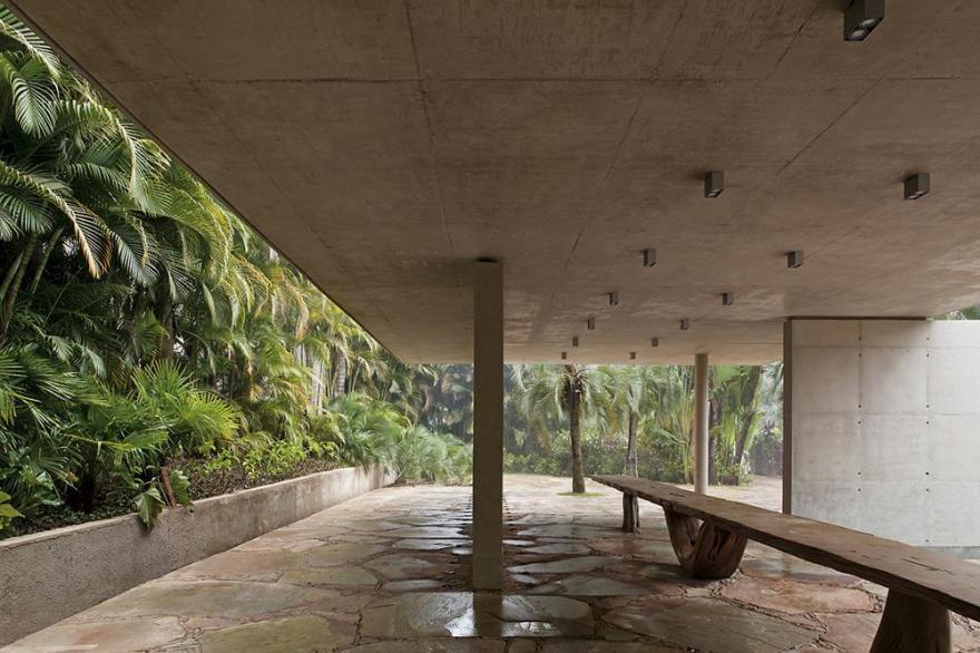 巴西 Inhotim 植物店-2