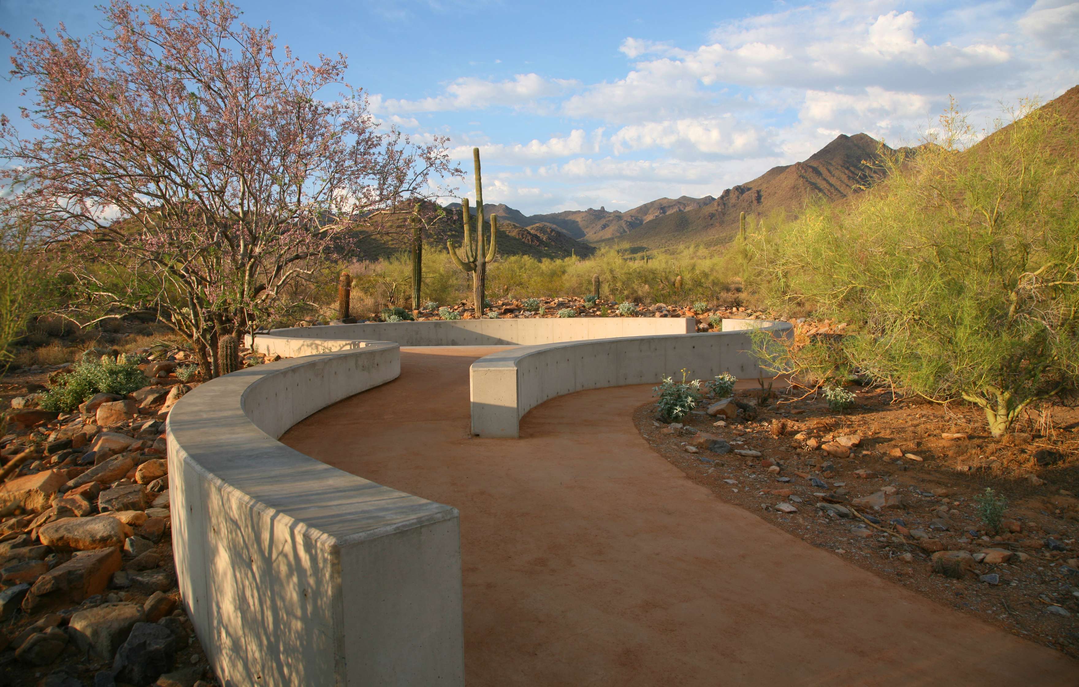 Gateway to McDowell Sonoran Preserve-14