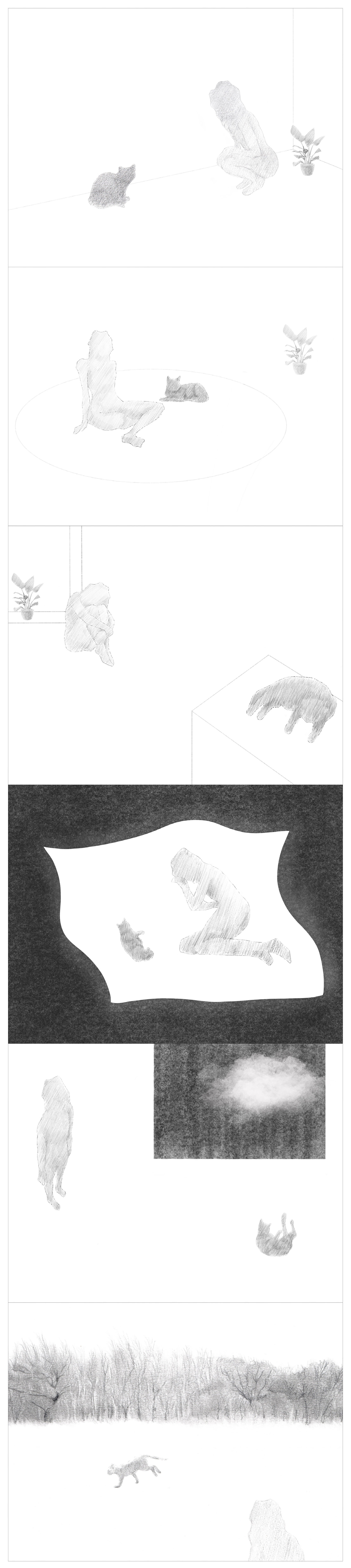 宠物生命纪念空间 · 悉它之所丨中国北京丨大料建筑-9