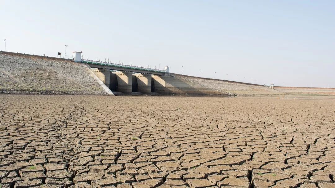 长三角城市群气候灾害风险评估工具-14