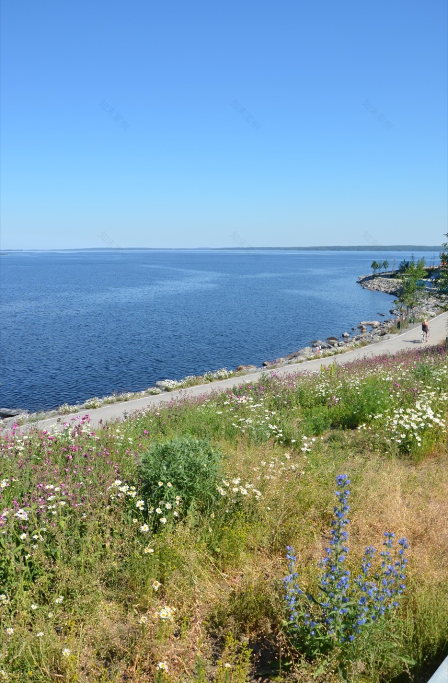 芬兰 Tampere Ranta·Tampella 公共户外空间-9