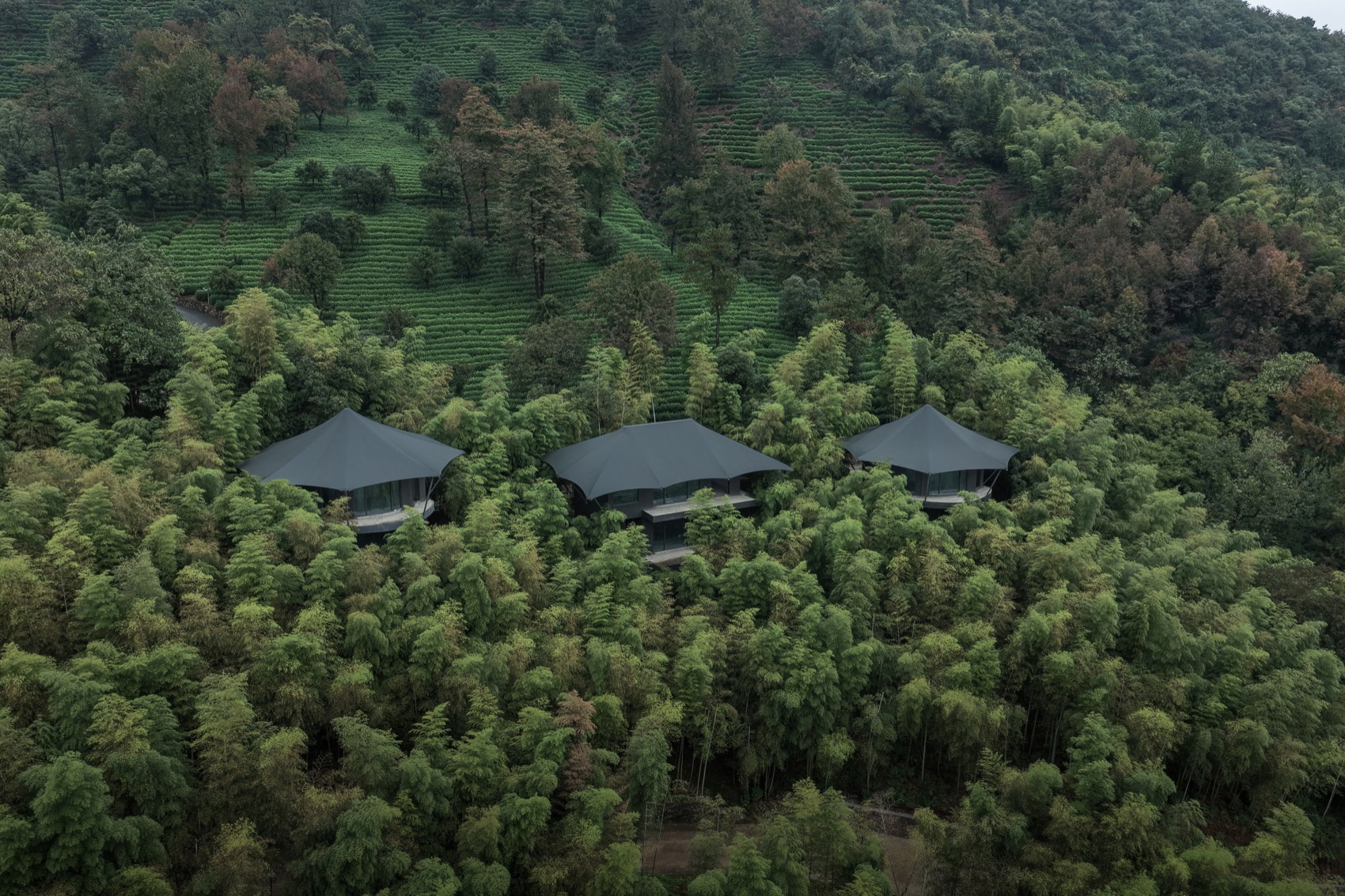 隐奢于野,与自然共呼吸丨中国湖州丨慢珊瑚设计-15