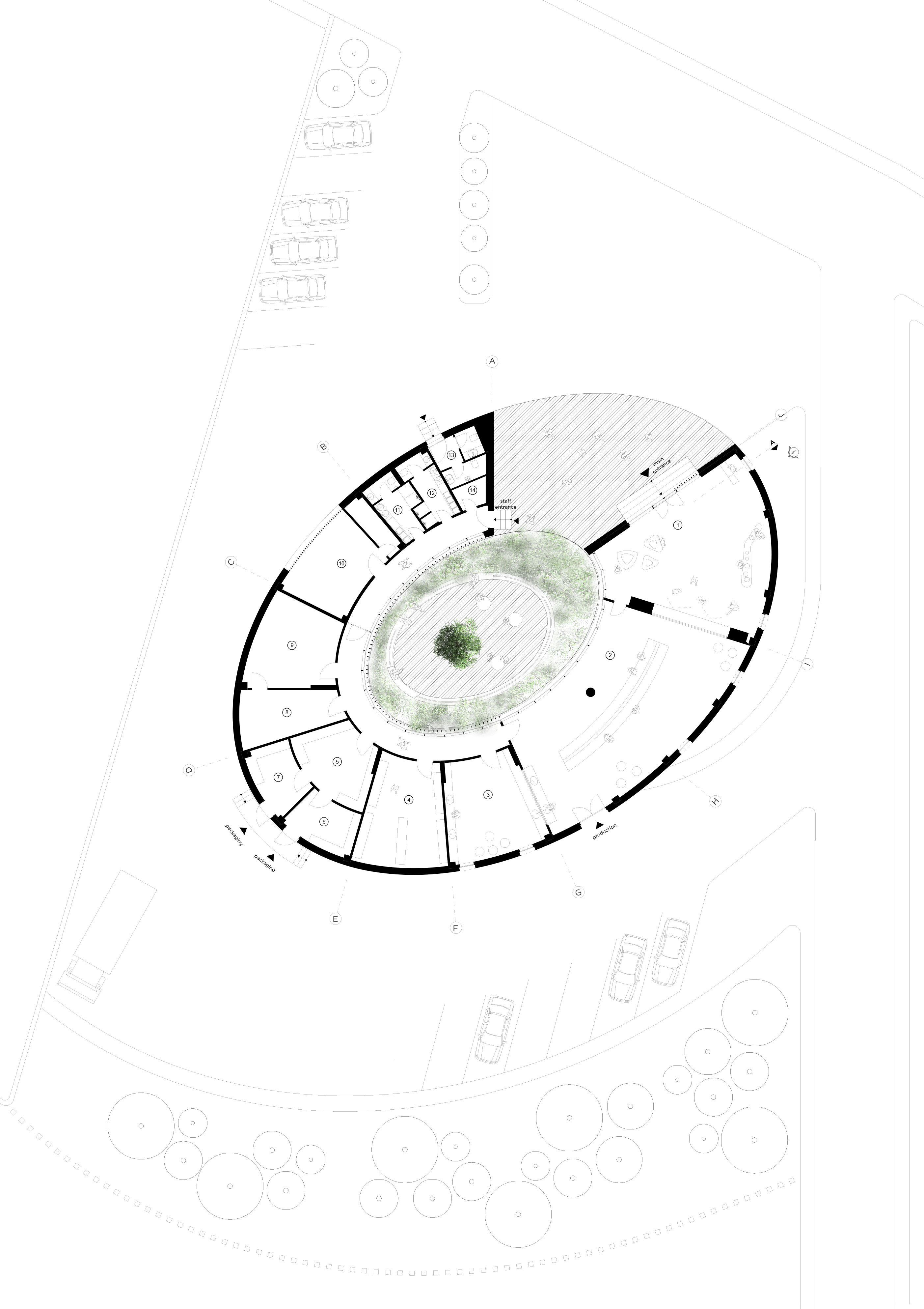 38°30°奶酪工厂农场-32