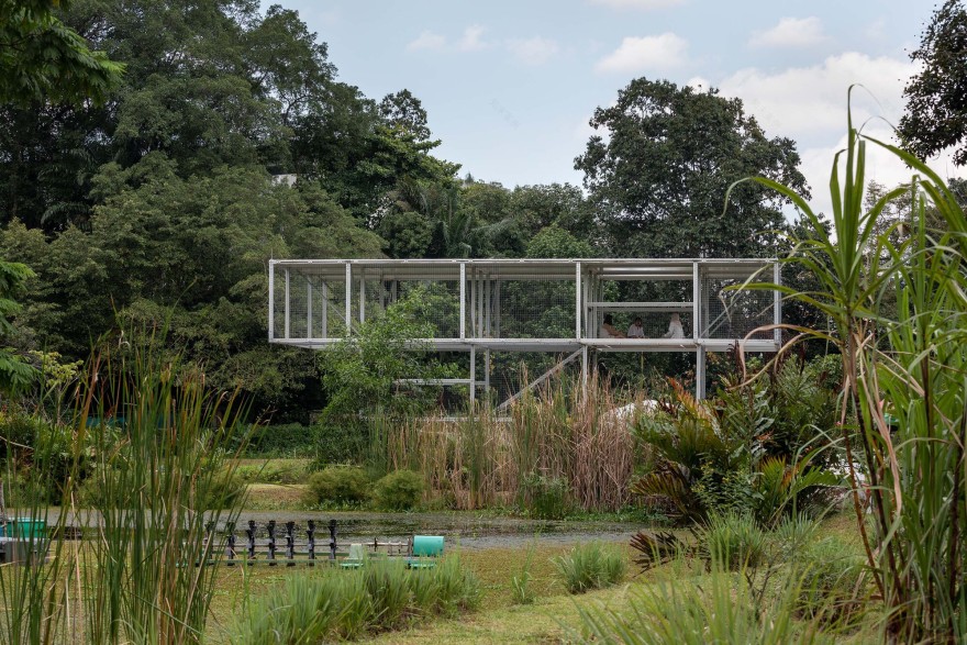 绿色阿戈拉亭丨新加坡丨Spatial Anatomy-26