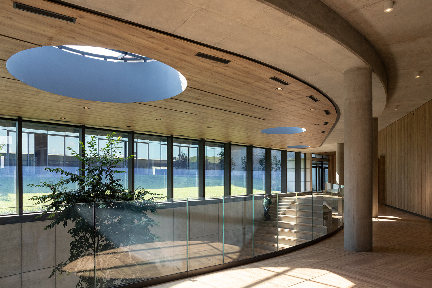 诺沃潘办公室丨厄瓜多尔丨Diez + Muller Arquitectos-21