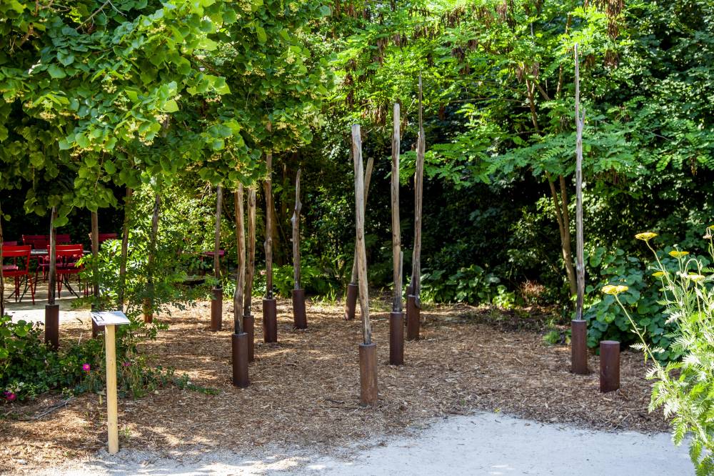 The Gardens of the International Perfumery Museum - France-16