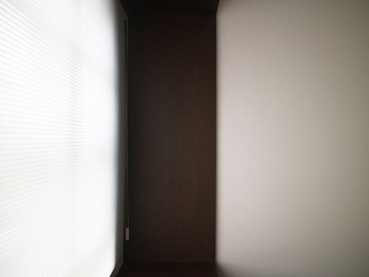 这家有猫丨中国汕头丨OC studio-38