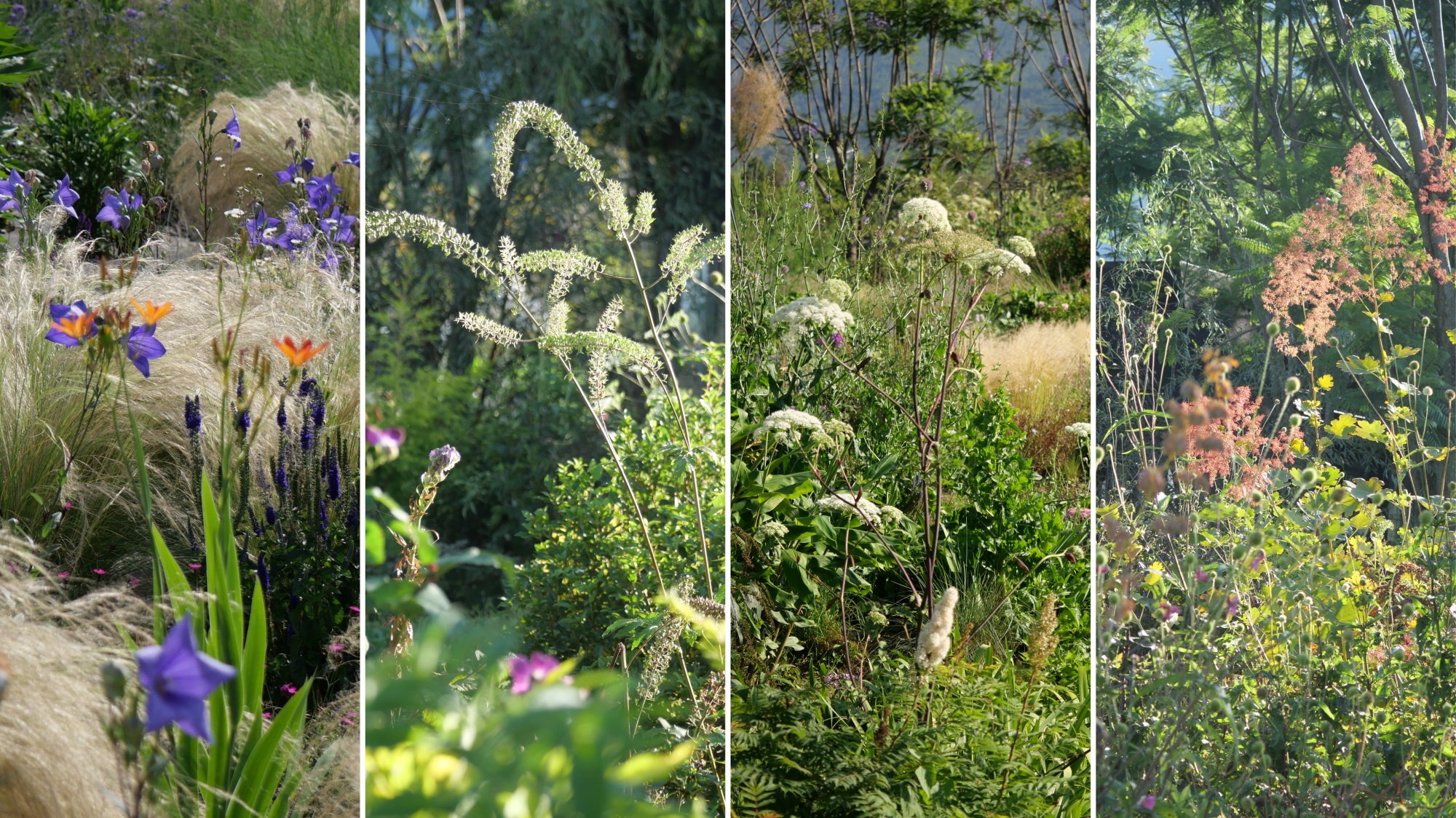 大理山下花园丨中国大理丨上海叙野景观设计有限公司-61