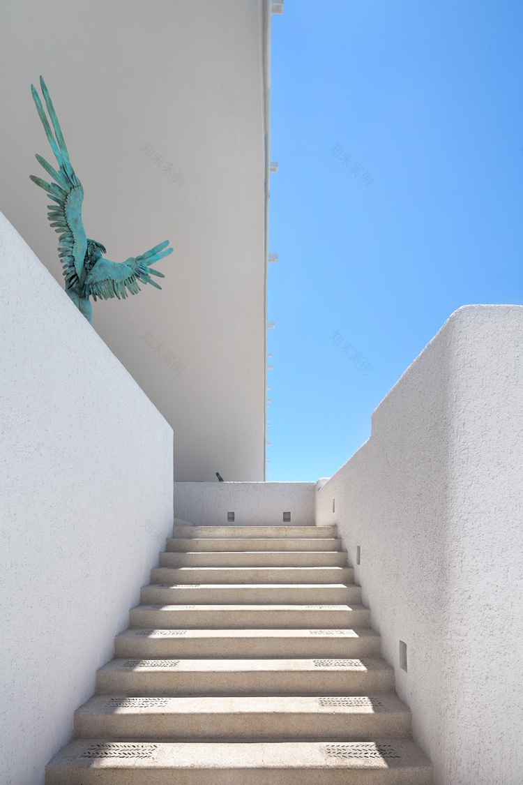 墨西哥洛斯卡沃斯海滨度假酒店——融入沙漠环境的现代建筑-21