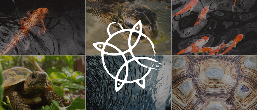 院子餐饮 3·0 版本空间设计&品牌文化设计-3