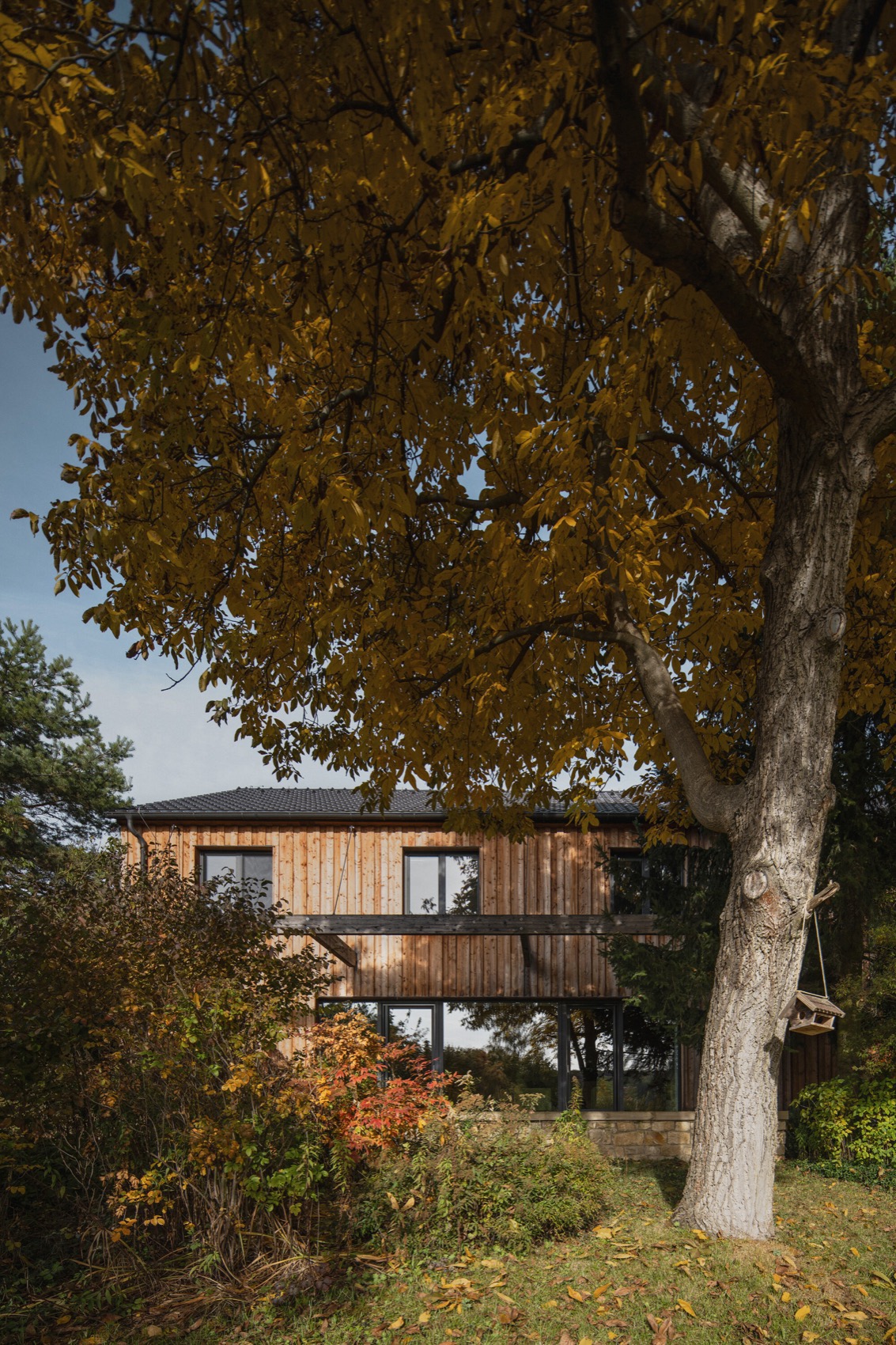 花园中的家庭住宅丨捷克丨Mimosa Architects-7