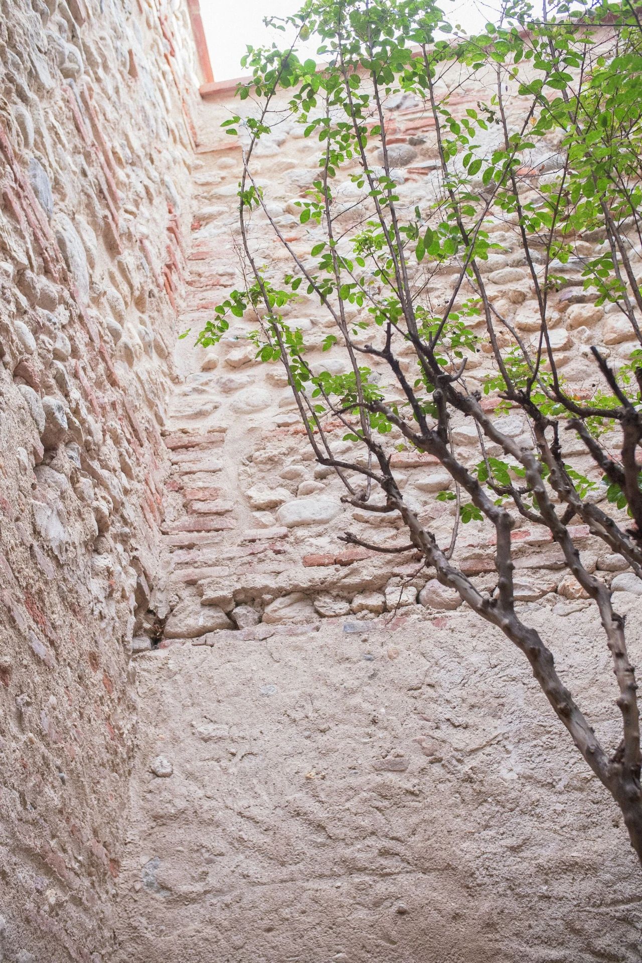 Casa Descadrell 改造丨法国丨SYMBIOSE ArchitectureDesign-31