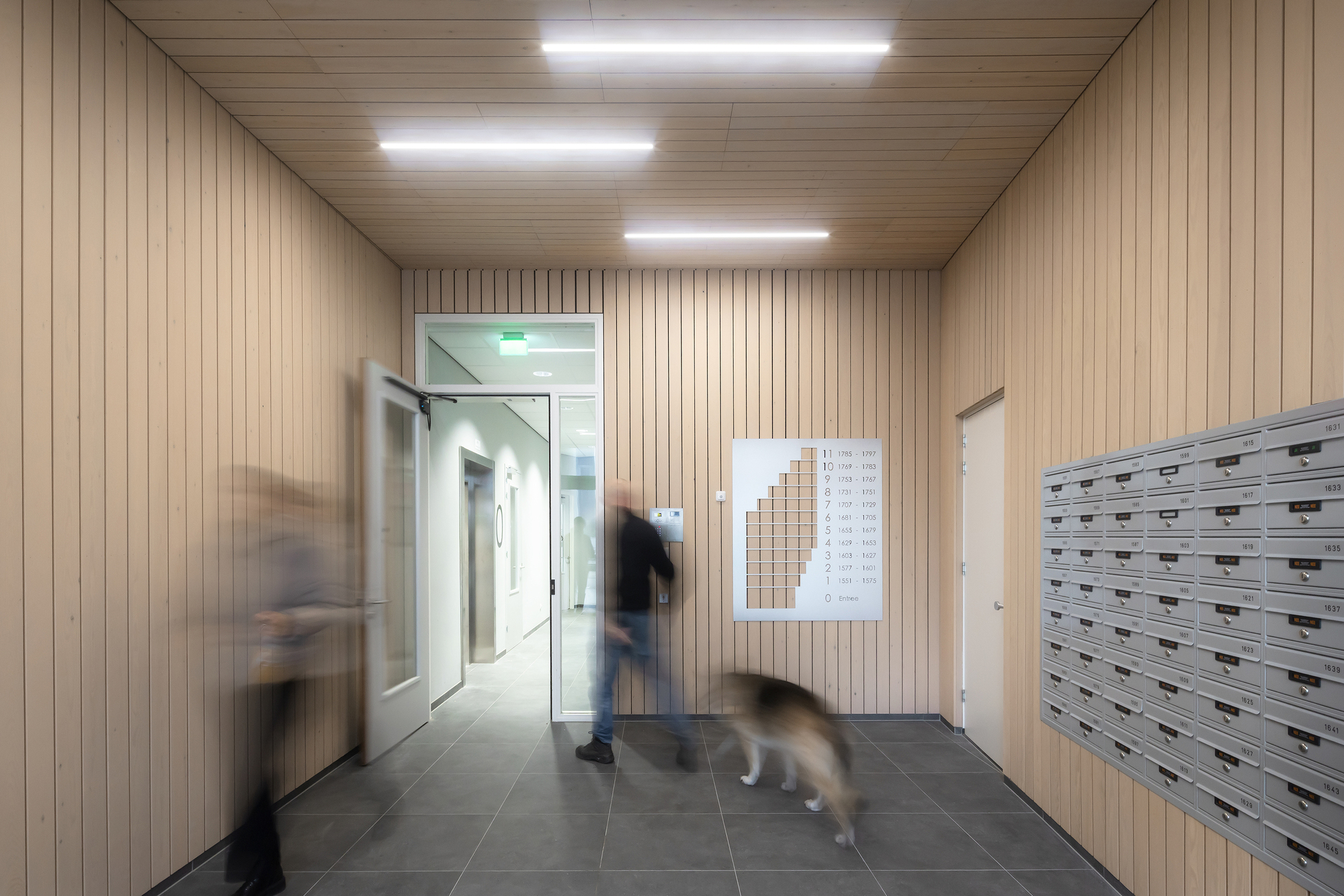 奥克塔维亚·希尔丨荷兰丨Studioninedots-37