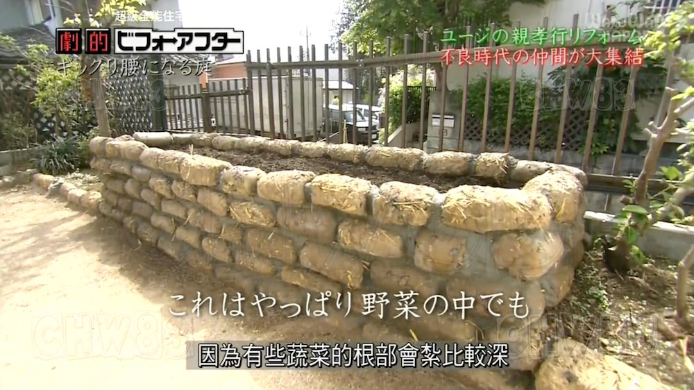 废墟庭院,漏水露台花园改造丨日本大阪丨金井良一-55