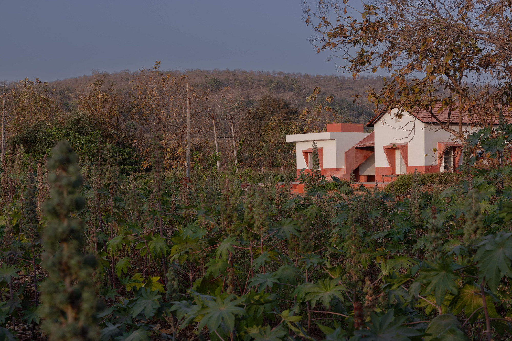 丨印度丨Project Terra-25