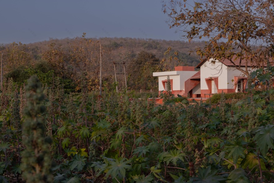 丨印度丨Project Terra-25