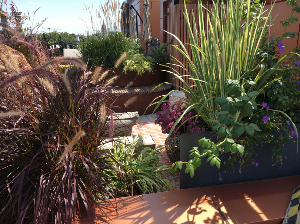 Cobble Hill Rooftop & Pergola-9