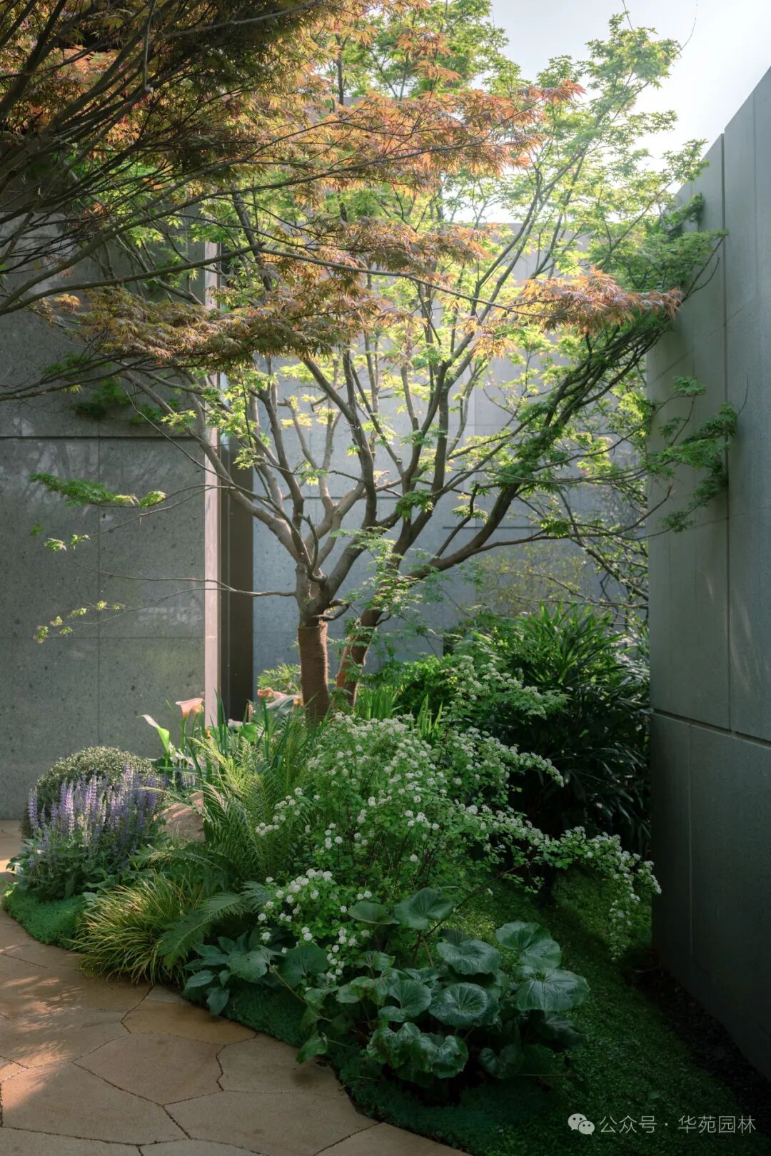 层叠的野性丨武汉瑞安城市展厅-32