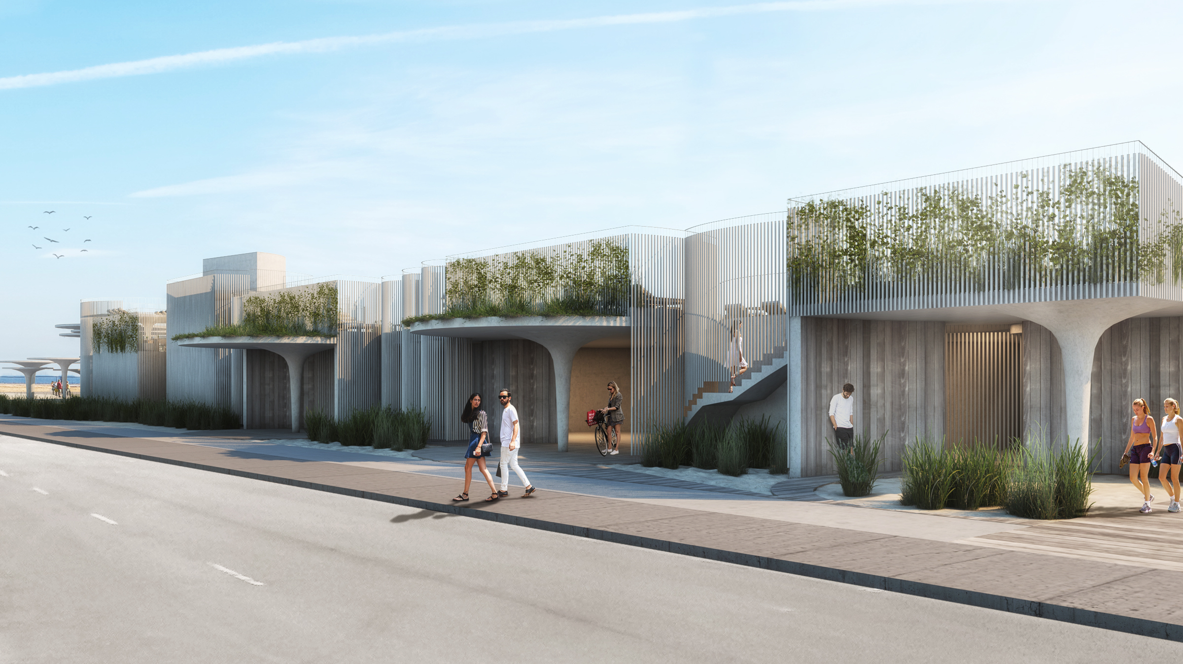 阿斯伯里帕克-8