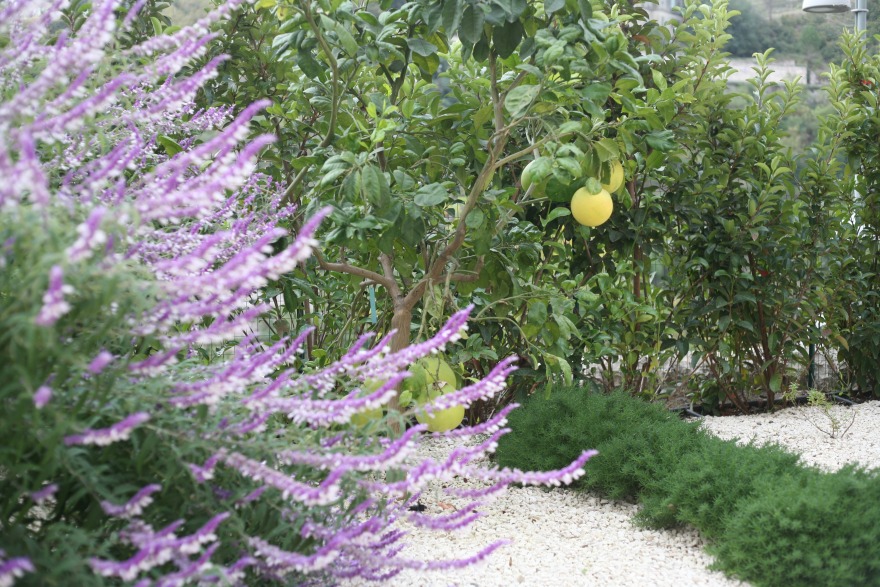 PARCOCollinare HSG Palace 酒店景观设计-11