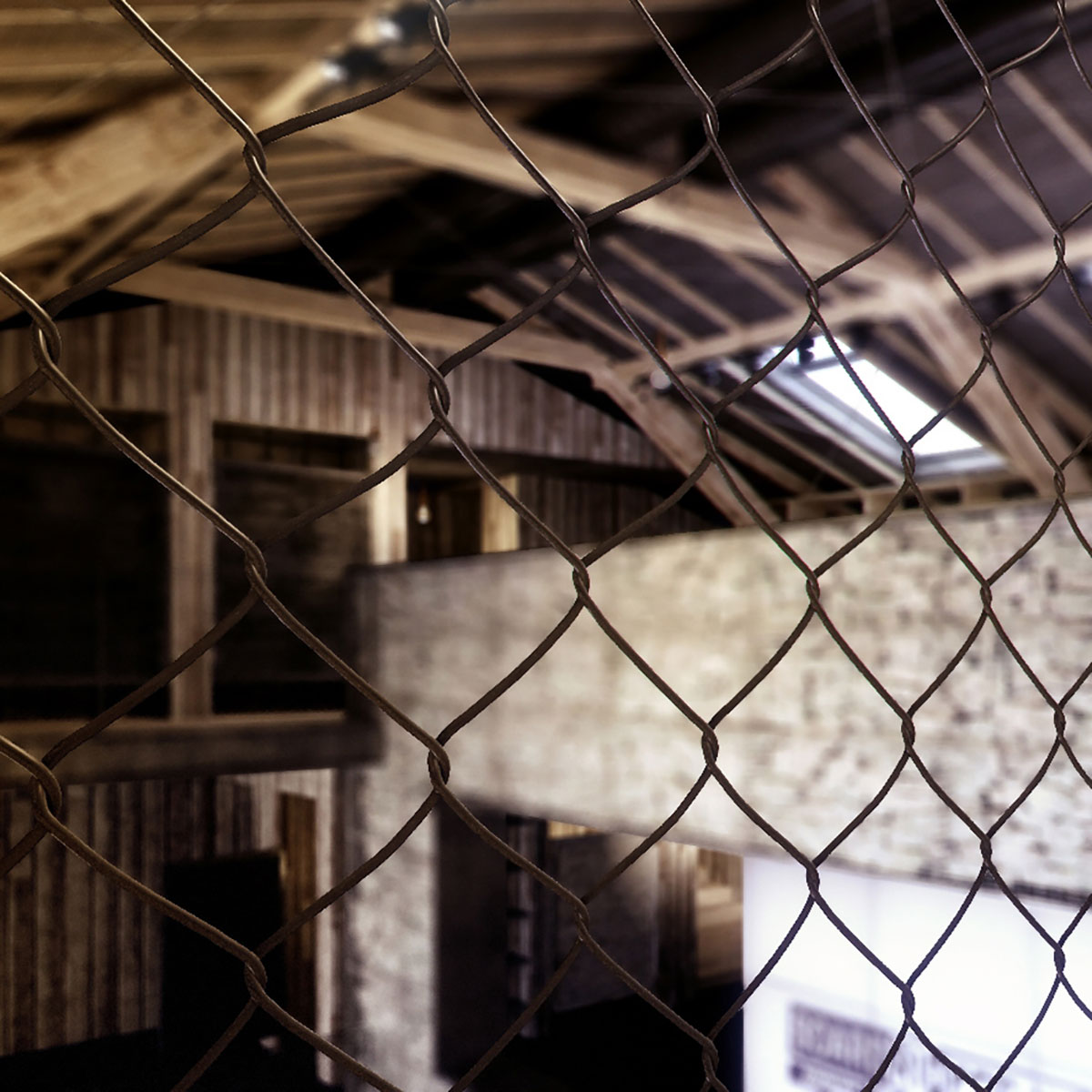 奇科西尔弗在霞慕尼-10