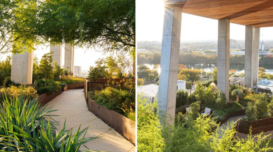 70 Rainey 空中花园丨美国奥斯汀丨Design Workshop-8