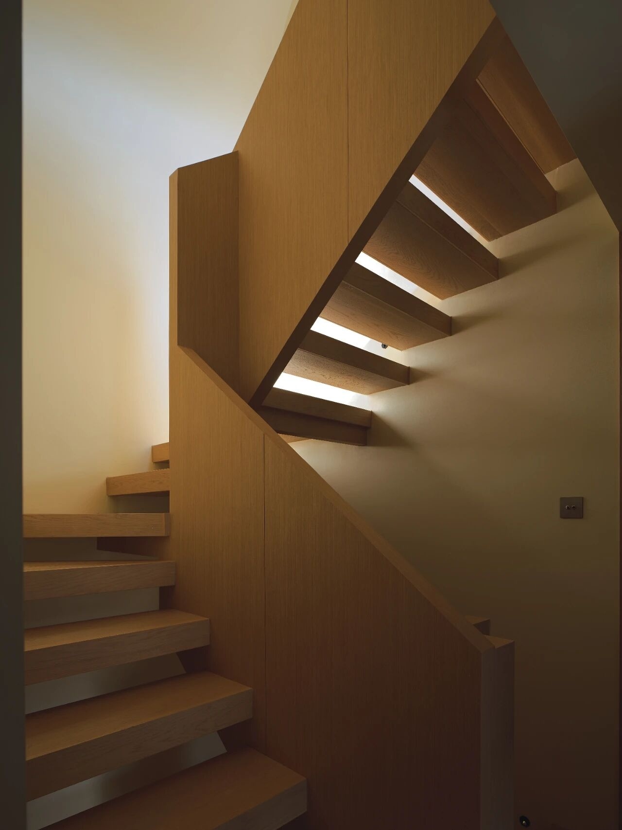 栖所:与自然和毛孩的对话丨中国南京丨读白设计-22