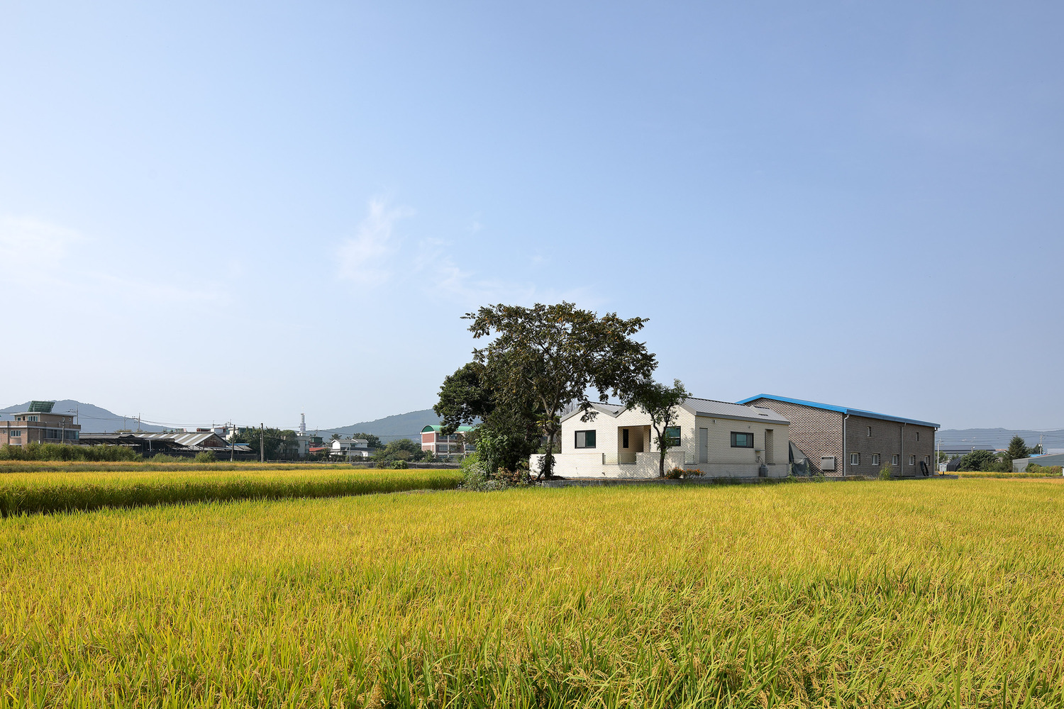 温暖自然的韩国稻田人参种植农户住宅-31