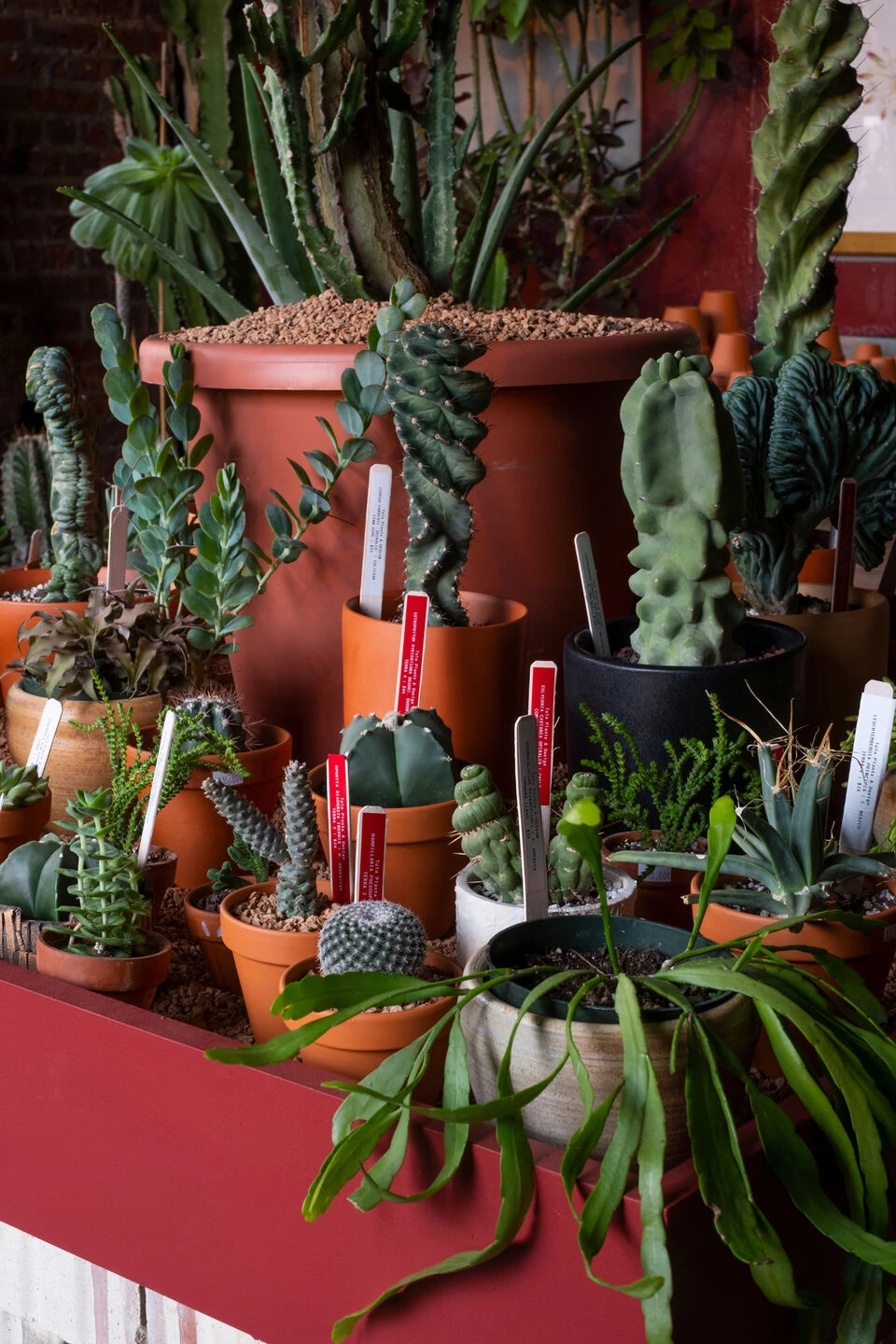 图拉植物与设计丨美国纽约-24