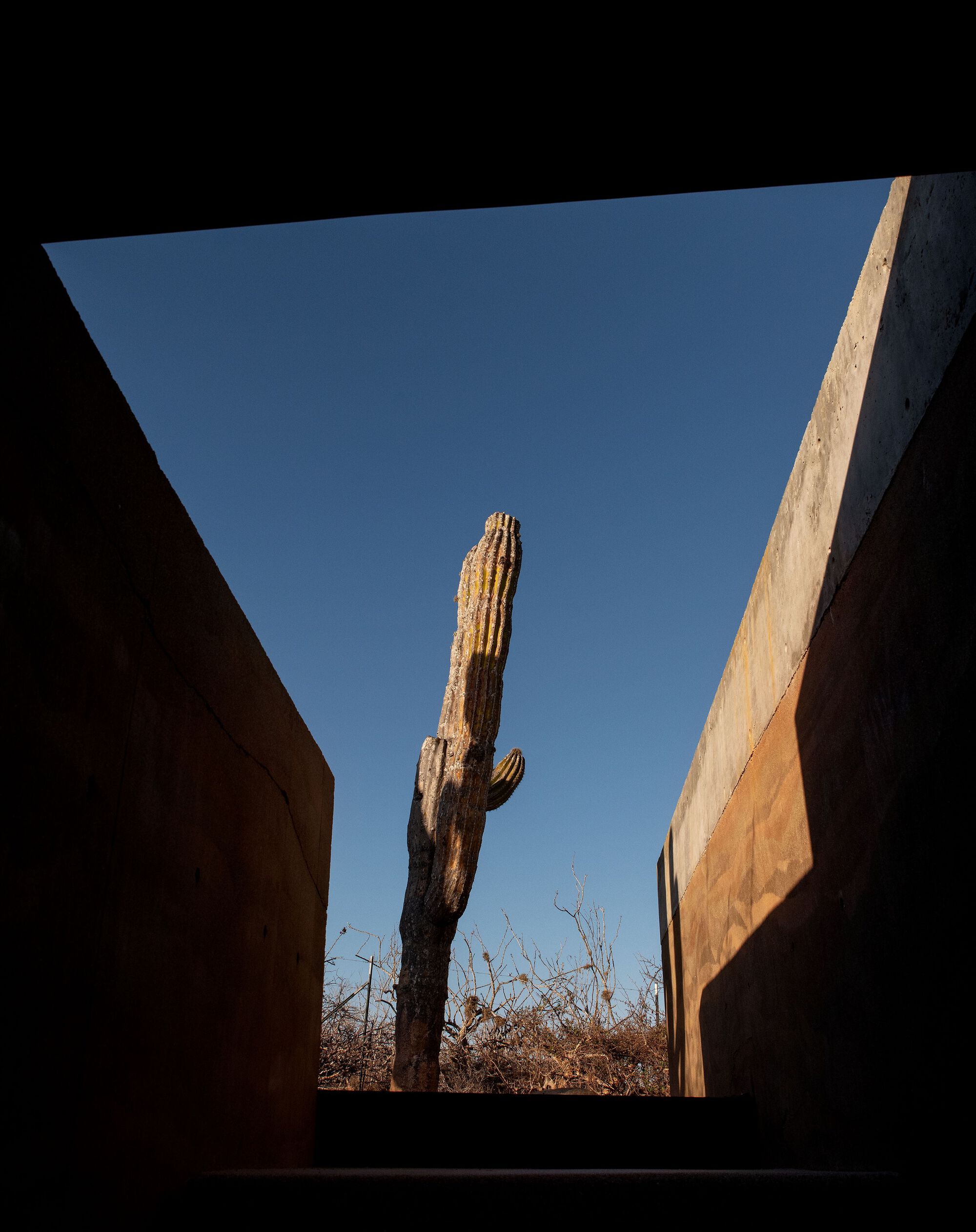 隐蔽的房子 / 隐藏的屋子丨墨西哥丨Taller de Terreno-26