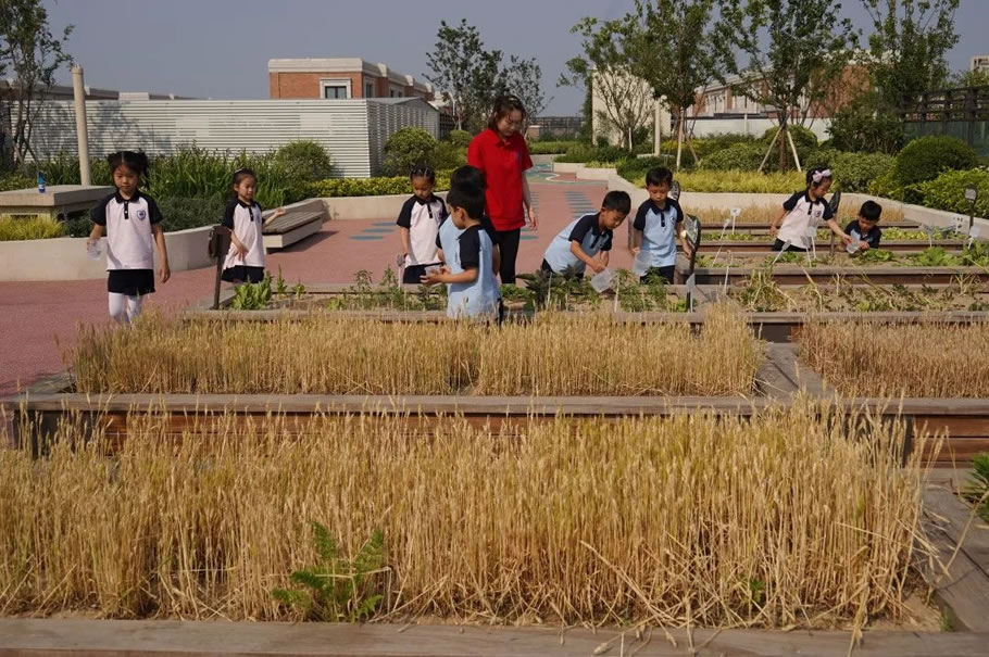 一八学校幼儿园（理想国校区）丨中国郑州丨卢胤翰团队-67