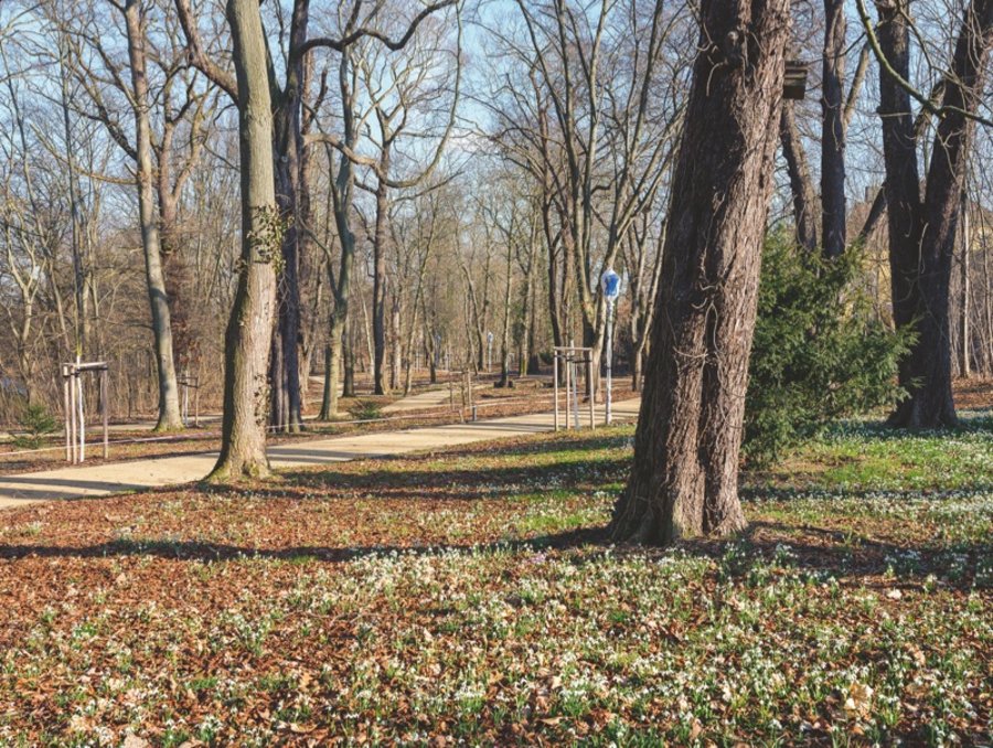 “Junge Gärten Torgau”（图尔高年轻花园）丨德国丨Station C23（莱比锡工作室）-55