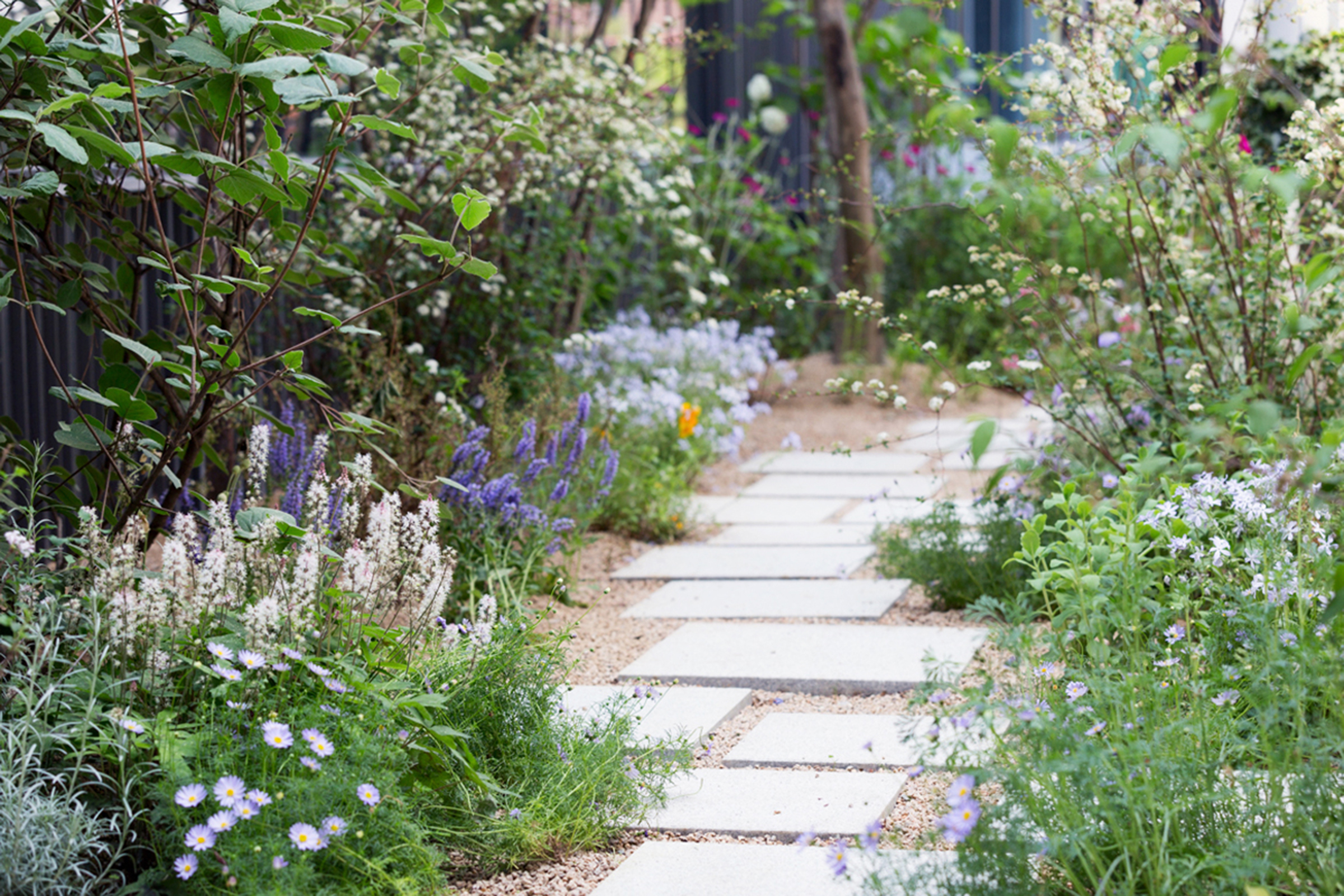 城市公寓中的“小森林”-11