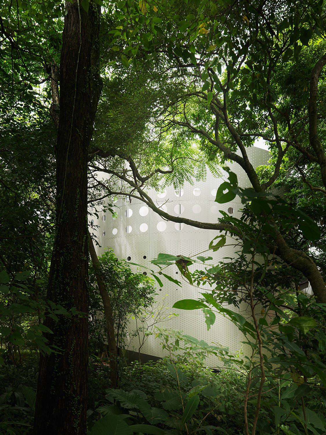 《感知自然》生态馆_上滕联合建筑师事务所-28