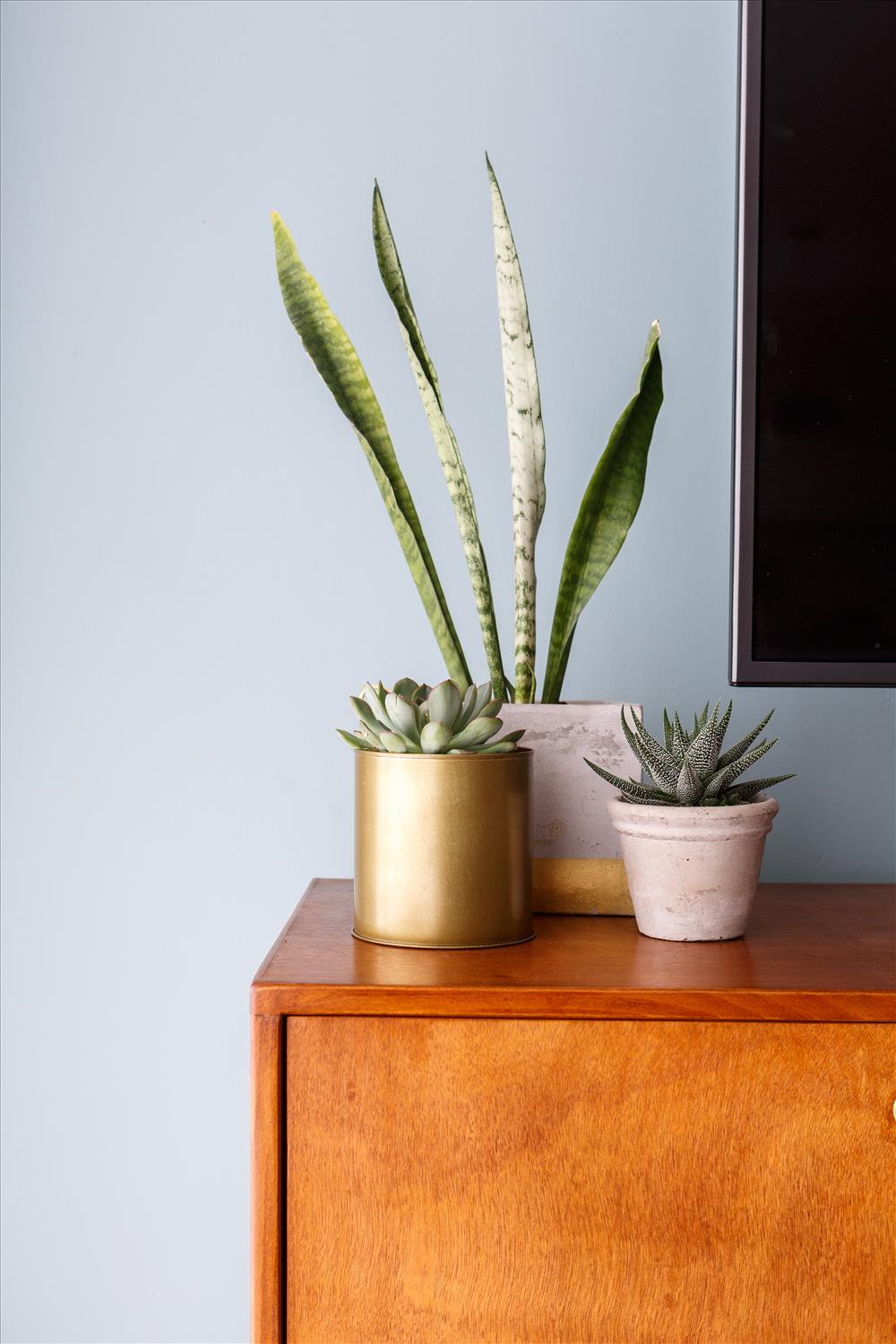 רויטל ארז · 3居室公寓家居造型设计（佐尔以撒）丨以色列丨רויטל ארז室内设计与家居造型工作室-20