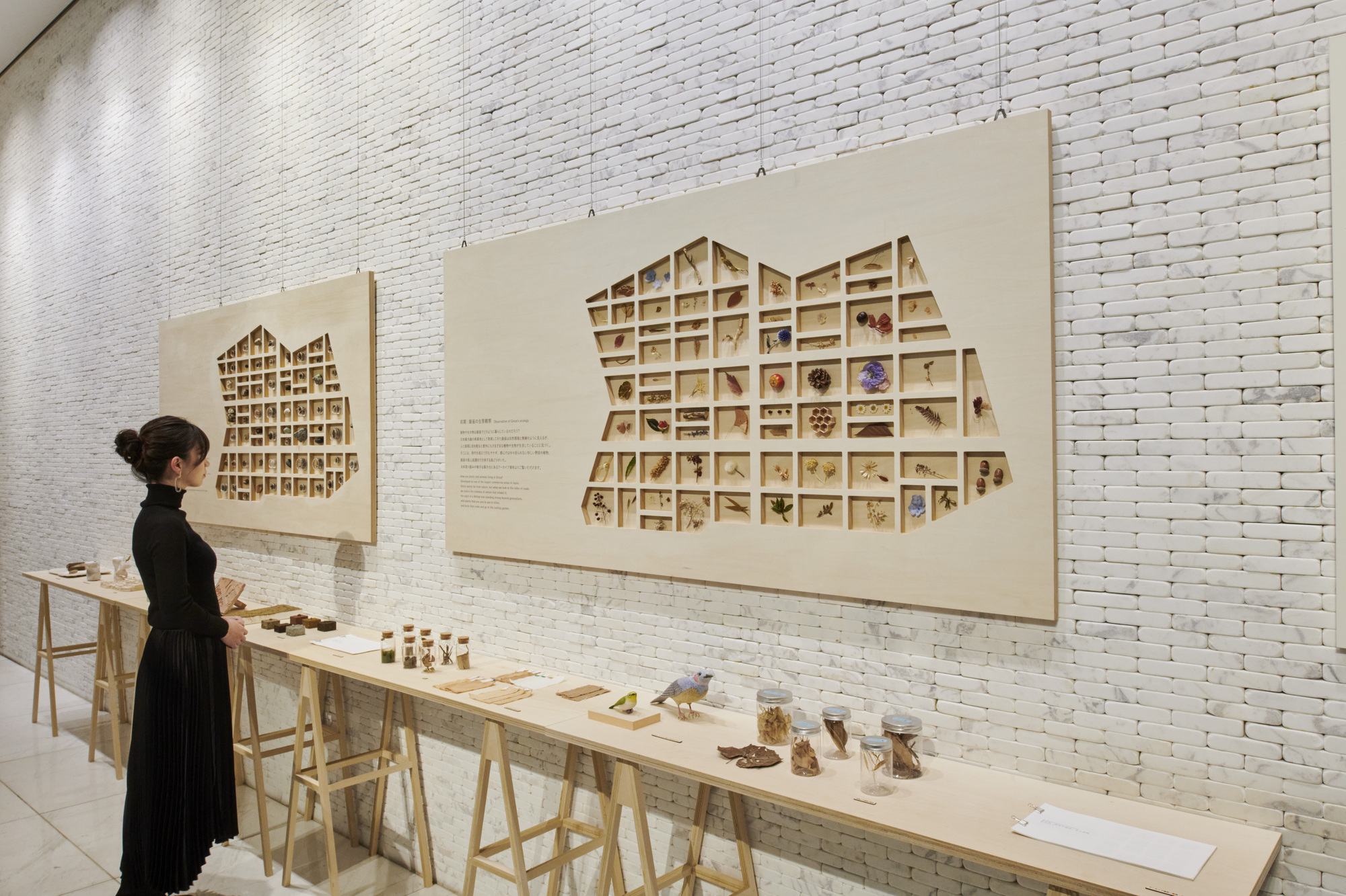 银座生态地图丨JapanTokyo丨Hakuten Corporation-13