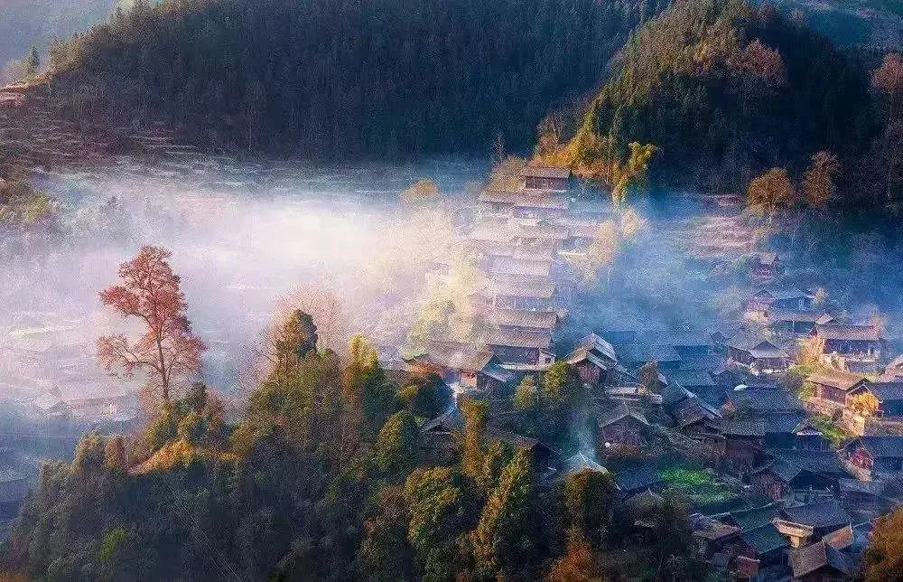 西兰卡普茶·食丨中国南京丨ARTSEA艾特斯设计 韩远洋-2