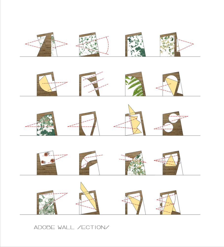 生态优化苏格拉底计划 | EMBT 打造德国生物多样性中心-1