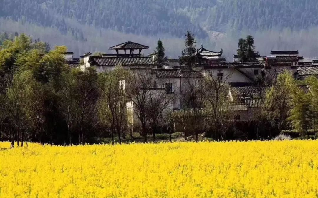 辞去工作，历时7个月，他们过上了有院子，有诗和远方的生活-7